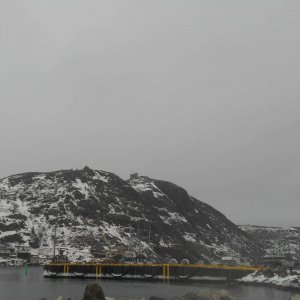 DSCN0286