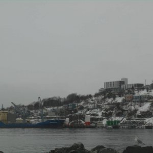 DSCN0283
