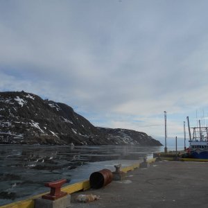 DSCN0339