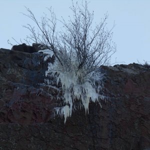DSCN0340