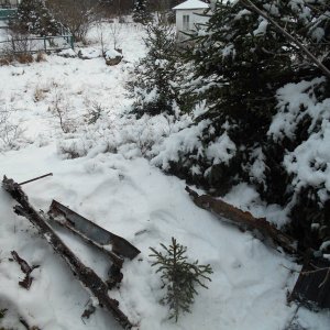DSCN0086