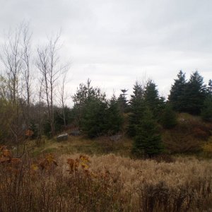 PB060020