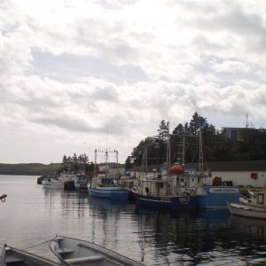 P9121199