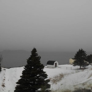 DSCN0483
