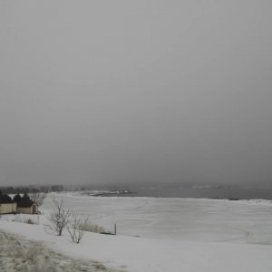DSCN0484