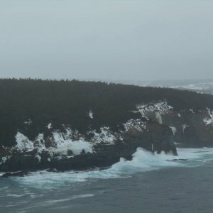 DSCN0502