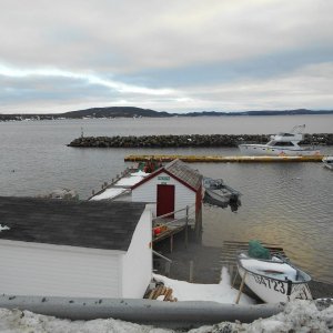 DSCN0470