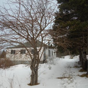 DSCN0433