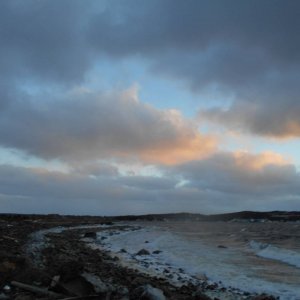 DSCN0560