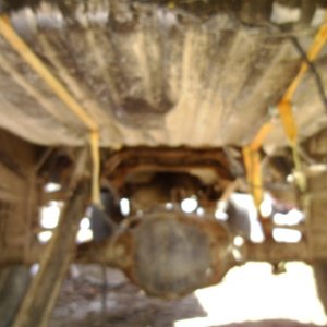 SANY03641