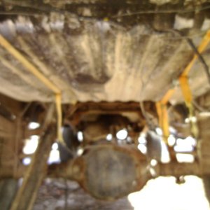 SANY0365
