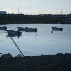 SDC14718