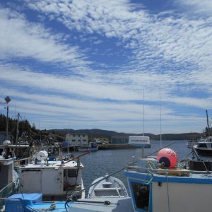 DSCN1622
