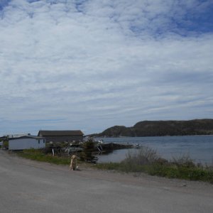 DSCN1629