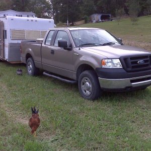 Ready for hunting
