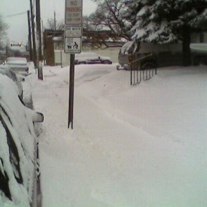 snowfall01