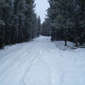 Quad_Jan_23_2010_028