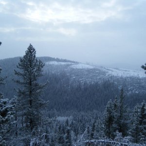 Quad_Jan_23_2010_031