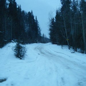 Jan_30_2010_Quad_008