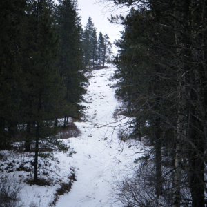 Jan_30_2010_Quad_028