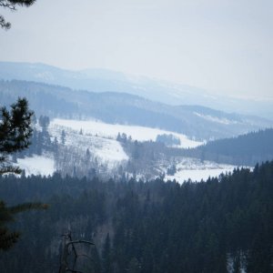 Jan_30_2010_Quad_047
