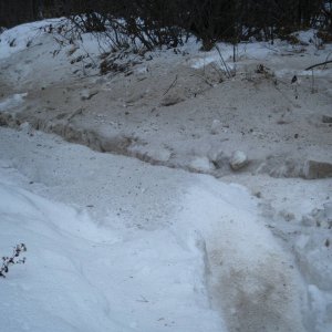 Jan_30_2010_Quad_052