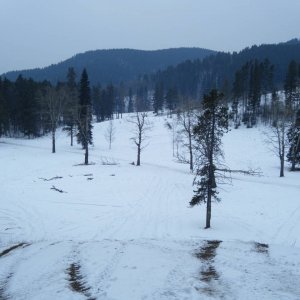 Jan_30_2010_Quad_045