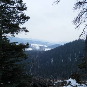 Jan_30_2010_Quad_046