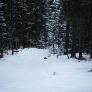 Quad_Feb_15_2010_003