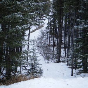 Quad_Feb_15_2010_004