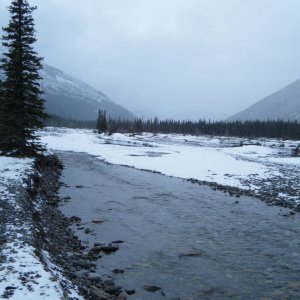 Quad_Feb_15_2010_009
