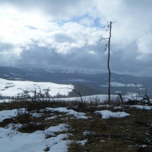 Quad_Feb_15_2010_015