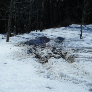 Quad_March_5_2010_034