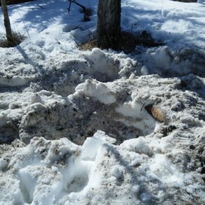 Quad_March_5_2010_036
