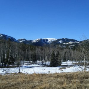 Quad_March_14_2010_011