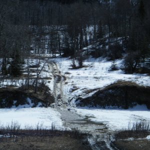 Quad_March_14_2010_024