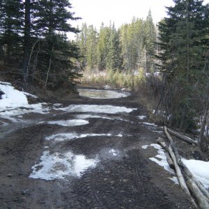 Quad_March_27_2010_001