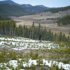Quad_March_27_2010_015