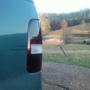tinted_tails
