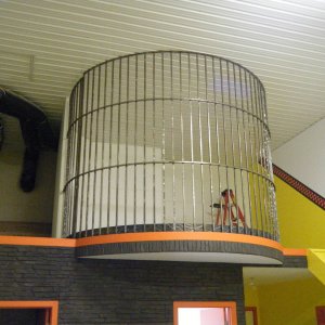 Dogpen_015