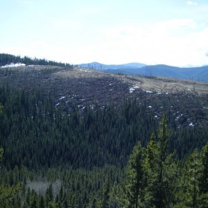 Quad_April_17_2010_022