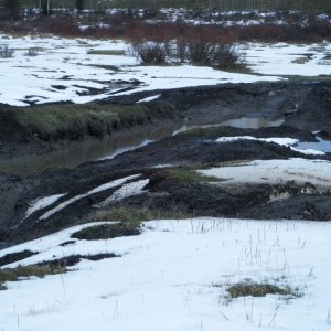 Quad_May_8_2010_015