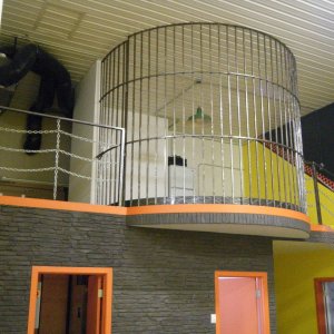 Dog_House_006