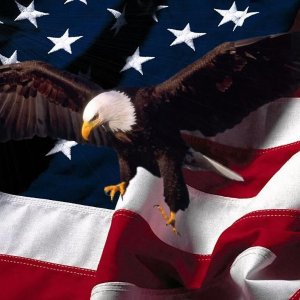 Free_Wallpaper_Patriotic_Eagle_American_Flag_Background-1-1024X768