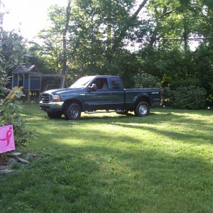 In my Backyard