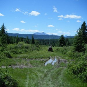 Quad_July_17_2010_031