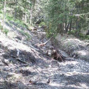 Quad_July_17_2010_037