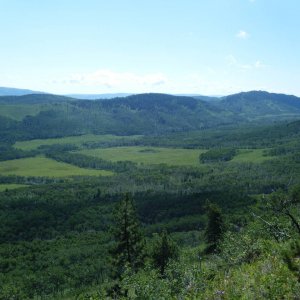 quad_aug_1_2010_017