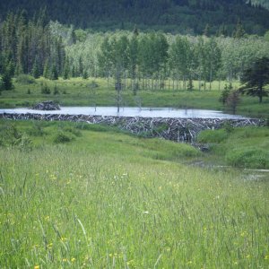 quad_aug_1_2010_032