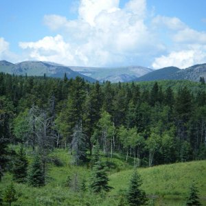 quad_aug_1_2010_034